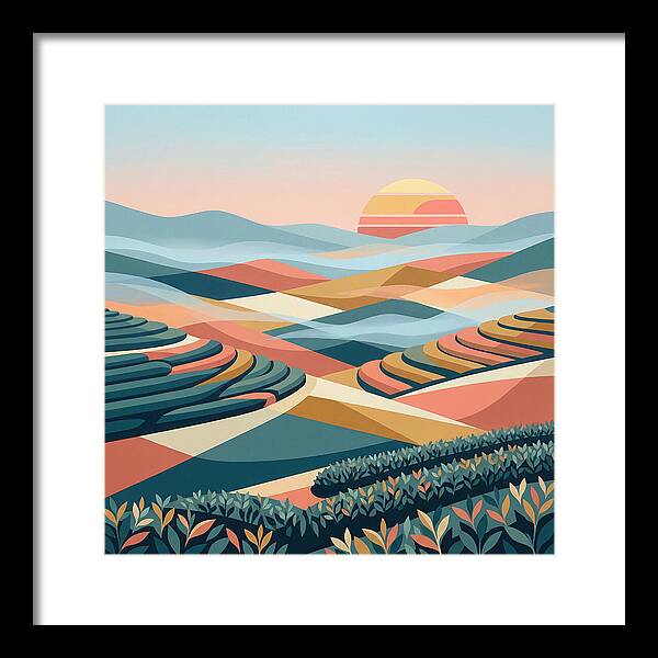 Tea Plantation At Sunset