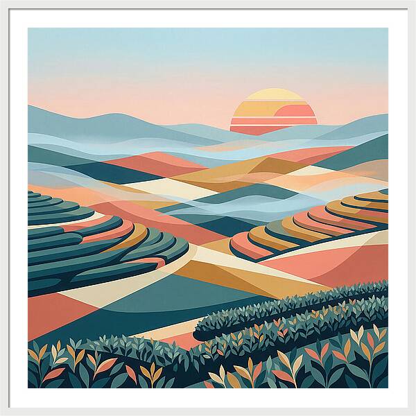 Tea Plantation At Sunset