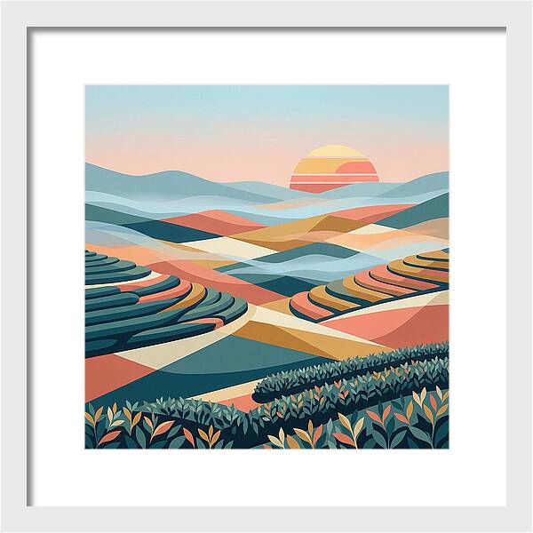 Tea Plantation At Sunset