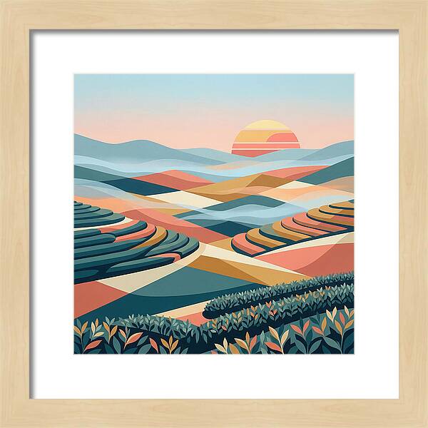 Tea Plantation At Sunset