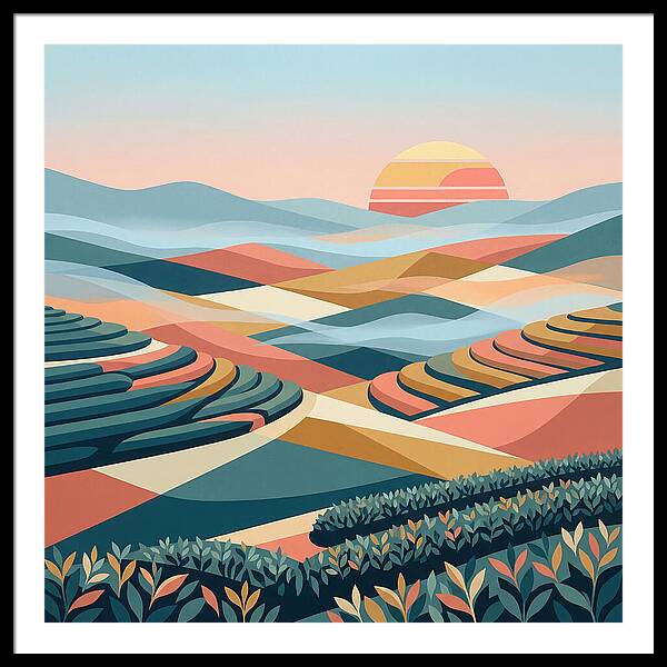 Tea Plantation At Sunset