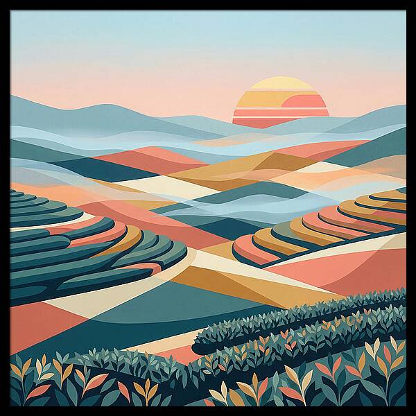 Tea Plantation At Sunset