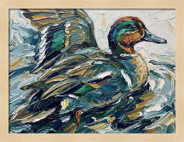 Teal Duck In Motion