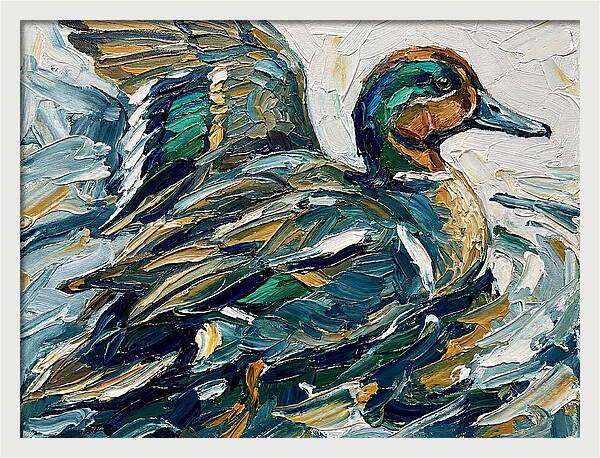 Teal Duck In Motion