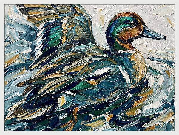 Teal Duck In Motion