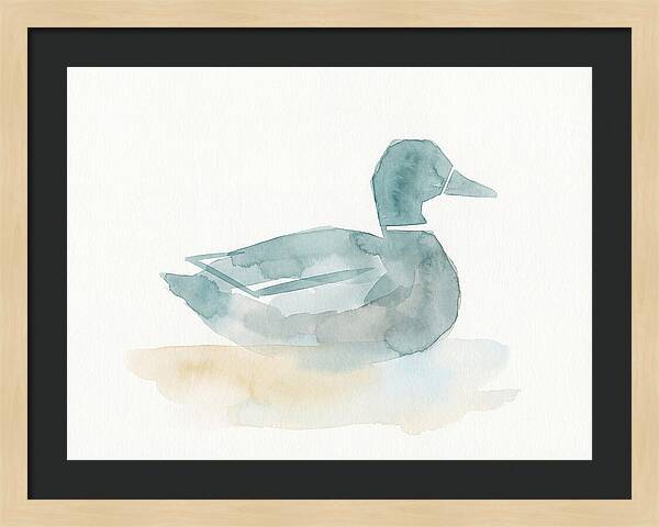 Teal Minimalist Duck