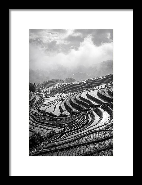 Tegalalang Rice Terraces Geometry