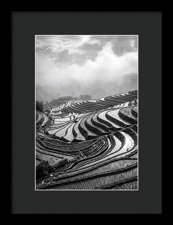 Tegalalang Rice Terraces Geometry