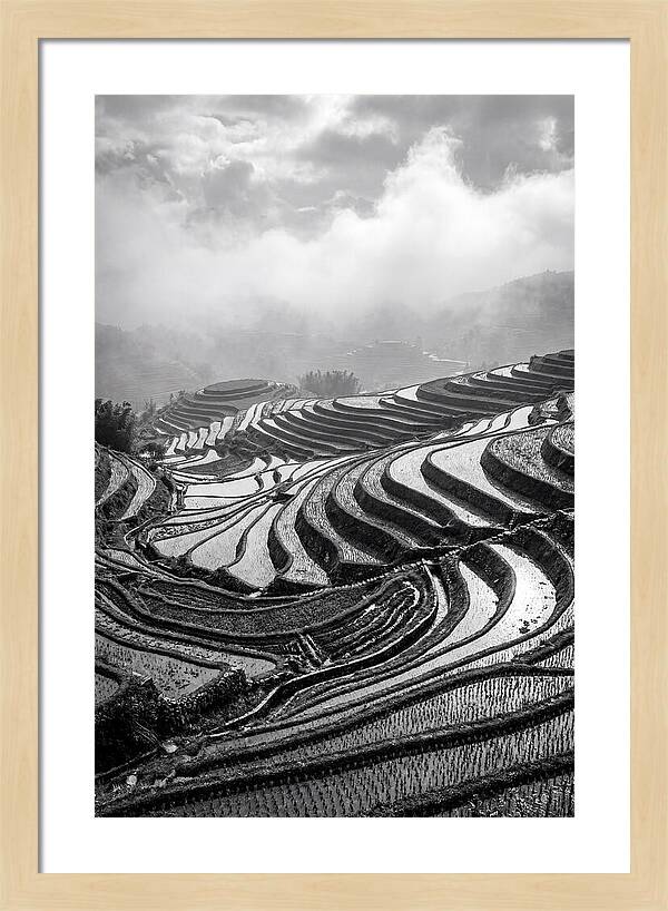 Tegalalang Rice Terraces Geometry