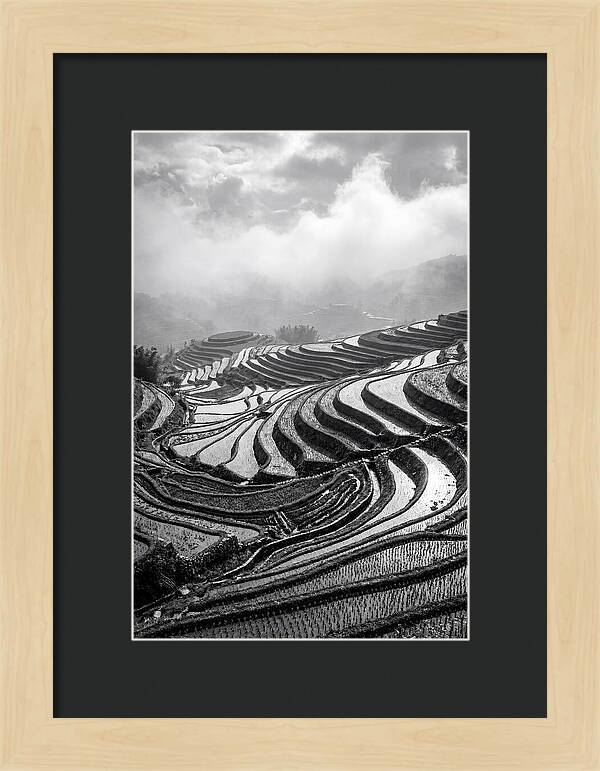 Tegalalang Rice Terraces Geometry