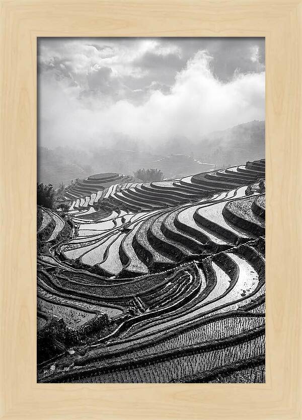 Tegalalang Rice Terraces Geometry