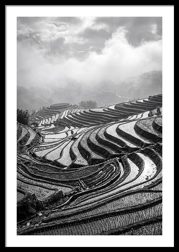 Tegalalang Rice Terraces Geometry