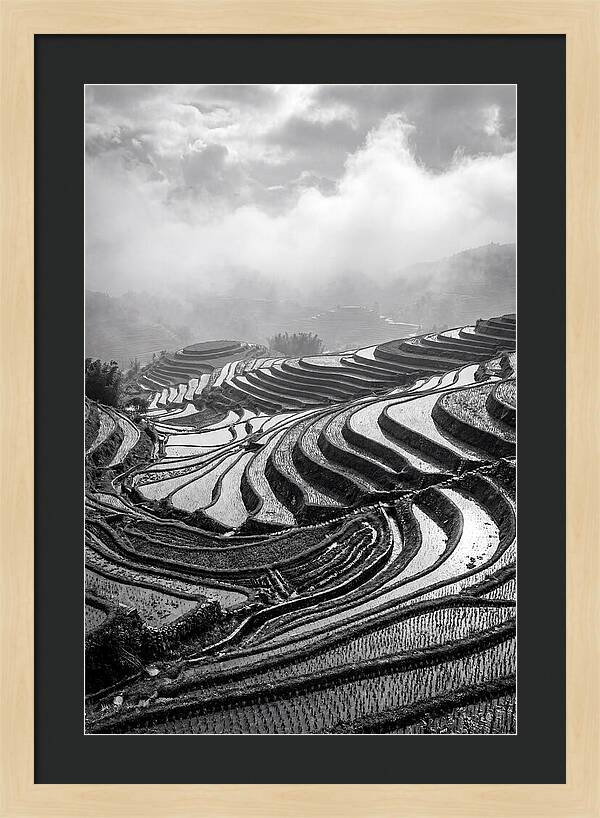 Tegalalang Rice Terraces Geometry