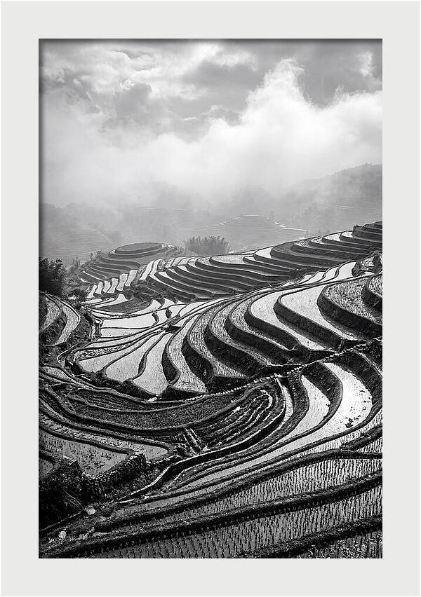 Tegalalang Rice Terraces Geometry