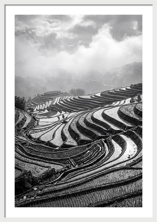 Tegalalang Rice Terraces Geometry