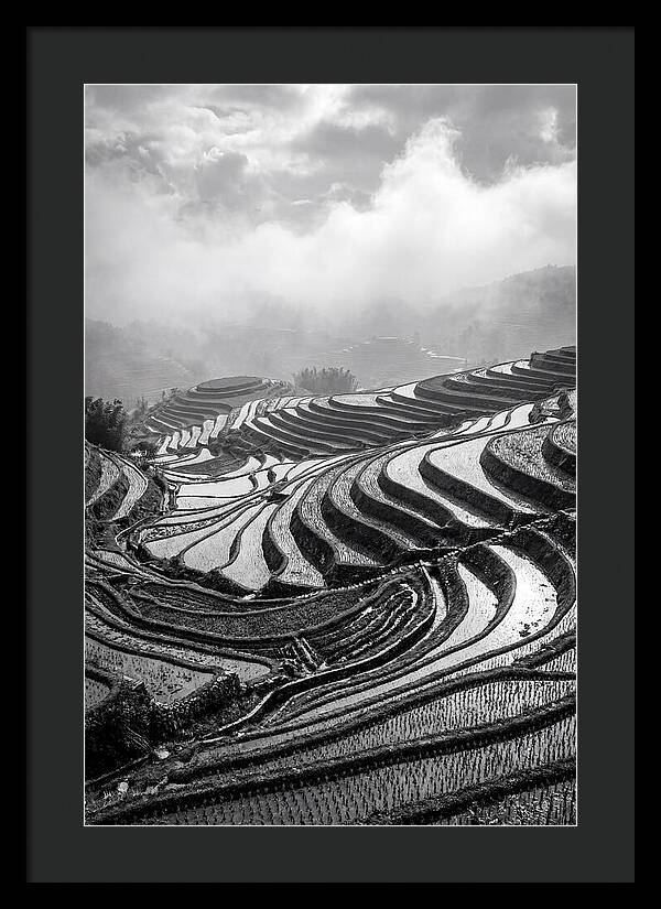 Tegalalang Rice Terraces Geometry
