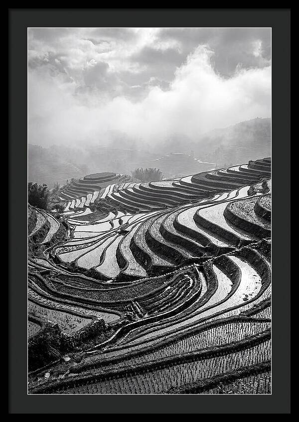 Tegalalang Rice Terraces Geometry