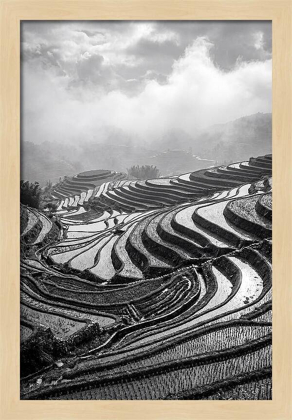 Tegalalang Rice Terraces Geometry