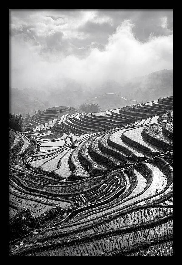 Tegalalang Rice Terraces Geometry