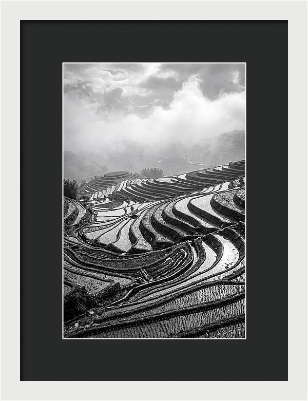 Tegalalang Rice Terraces Geometry