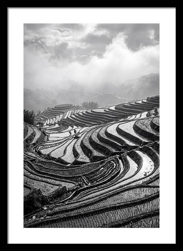 Tegalalang Rice Terraces Geometry