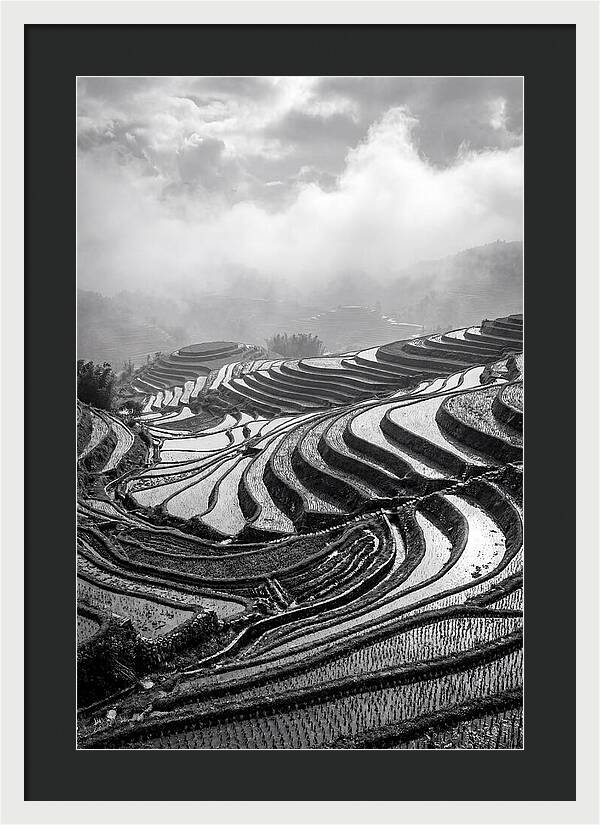 Tegalalang Rice Terraces Geometry