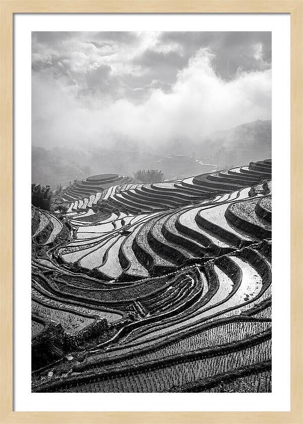 Tegalalang Rice Terraces Geometry