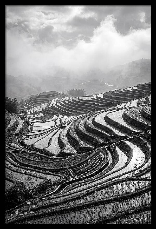 Tegalalang Rice Terraces Geometry