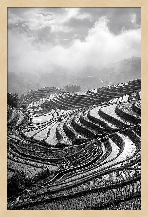 Tegalalang Rice Terraces Geometry