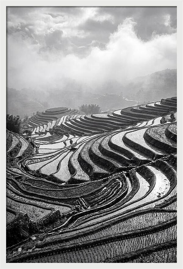 Tegalalang Rice Terraces Geometry