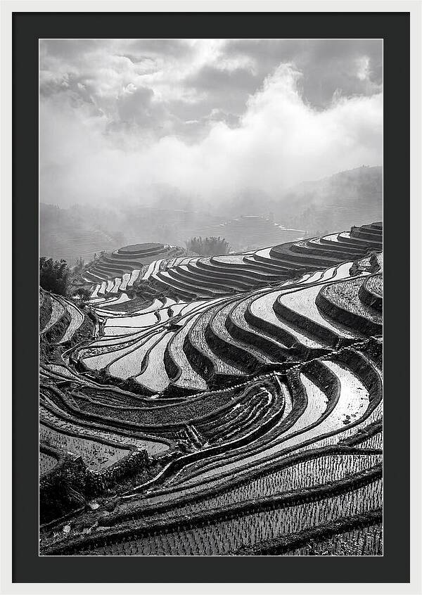 Tegalalang Rice Terraces Geometry
