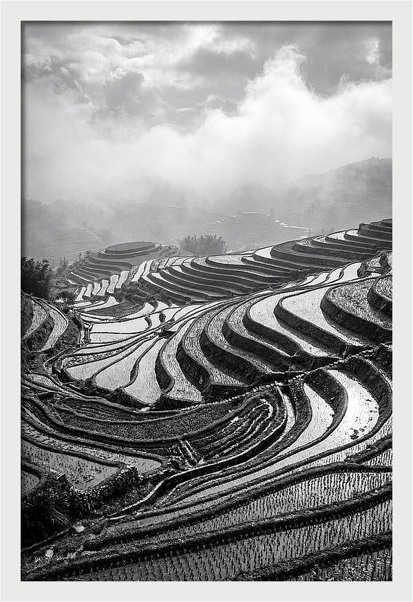 Tegalalang Rice Terraces Geometry