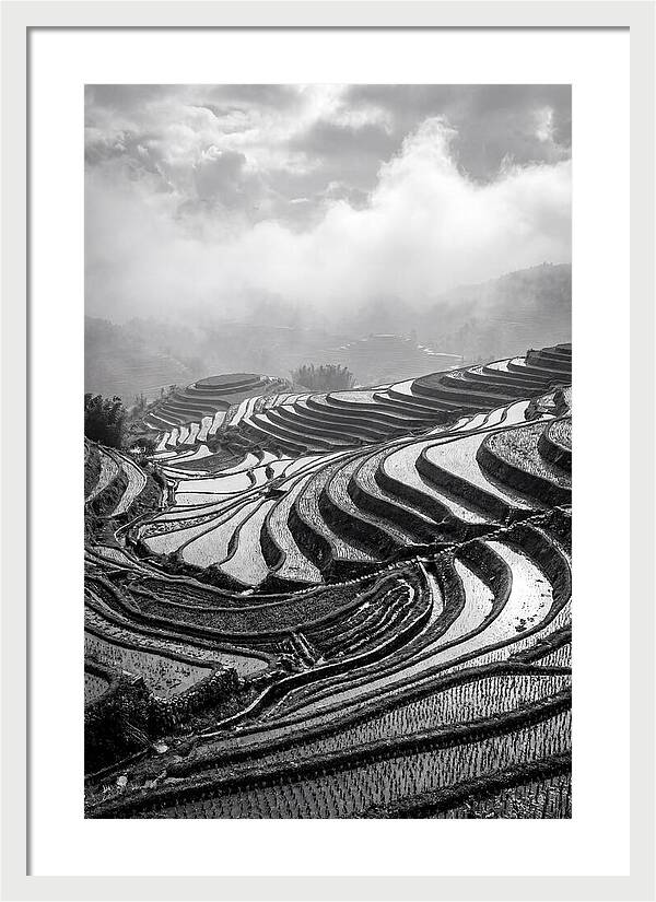 Tegalalang Rice Terraces Geometry