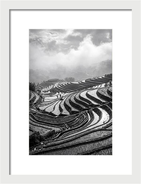 Tegalalang Rice Terraces Geometry