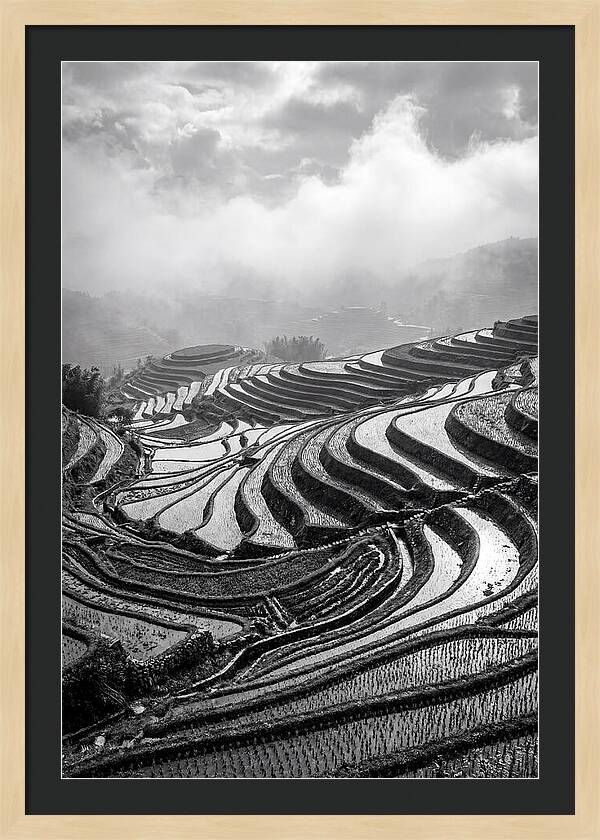 Tegalalang Rice Terraces Geometry