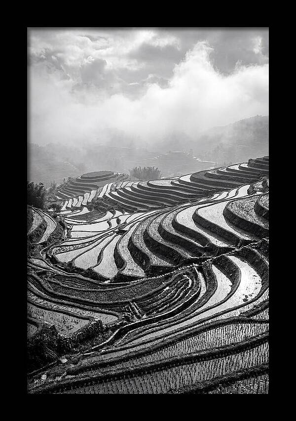 Tegalalang Rice Terraces Geometry