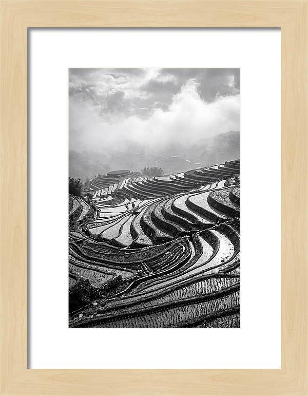 Tegalalang Rice Terraces Geometry