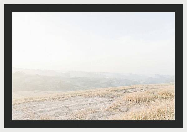 Tegalalang Rice Terraces Tranquility