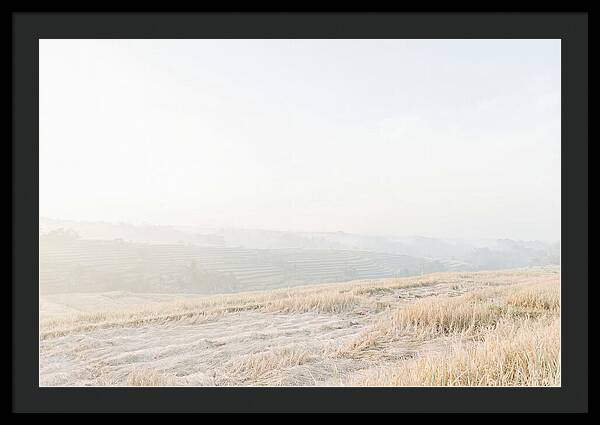 Tegalalang Rice Terraces Tranquility