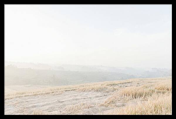 Tegalalang Rice Terraces Tranquility