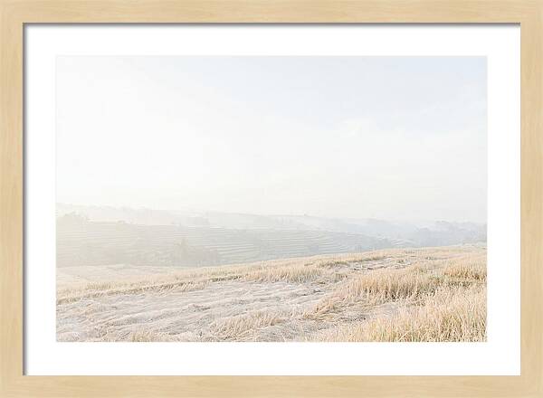 Tegalalang Rice Terraces Tranquility