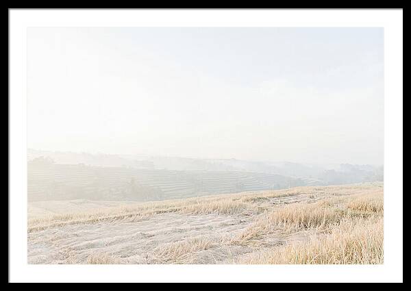 Tegalalang Rice Terraces Tranquility