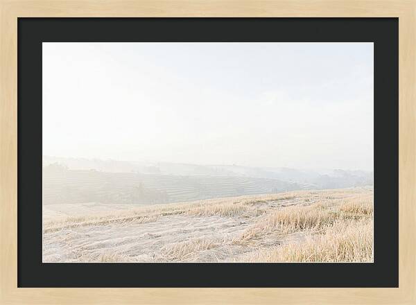 Tegalalang Rice Terraces Tranquility