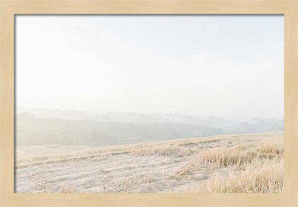 Tegalalang Rice Terraces Tranquility
