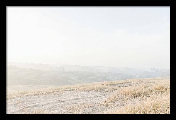 Tegalalang Rice Terraces Tranquility
