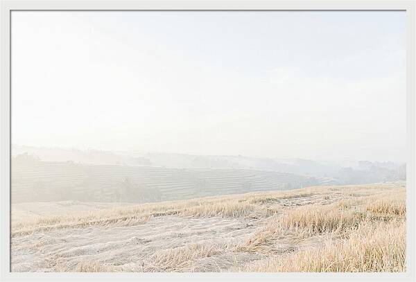 Tegalalang Rice Terraces Tranquility