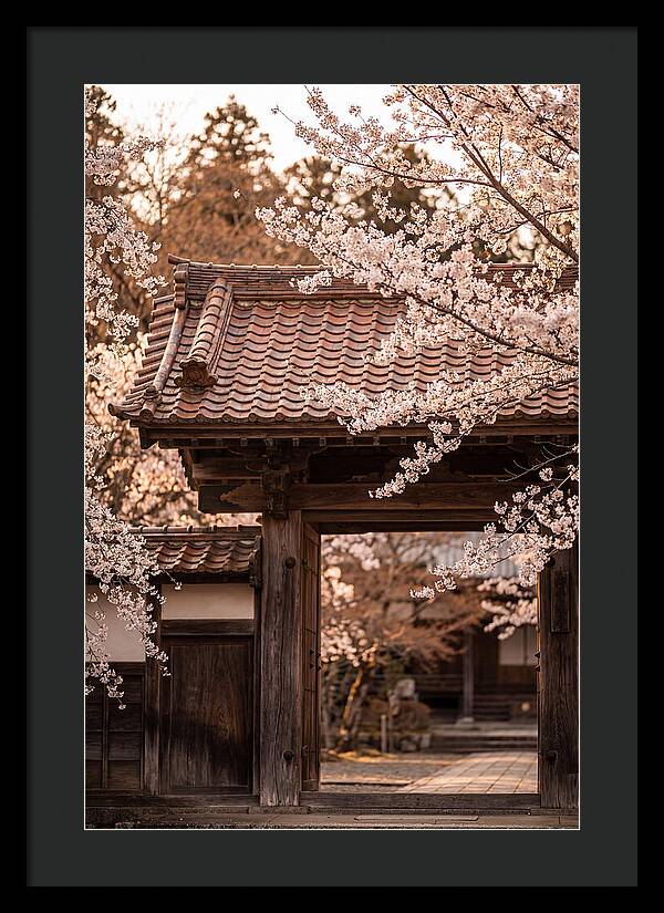 Temple Gate Framed By Blossoms