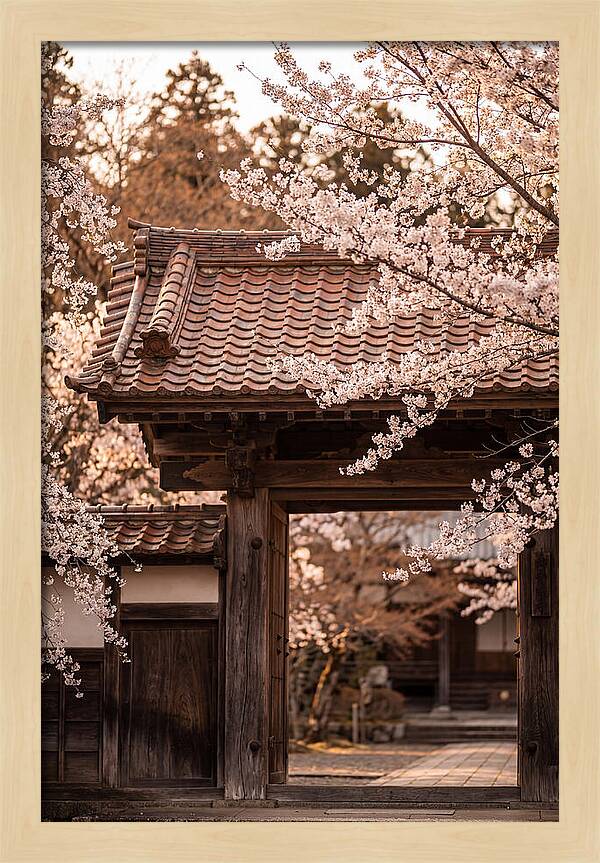 Temple Gate Framed By Blossoms