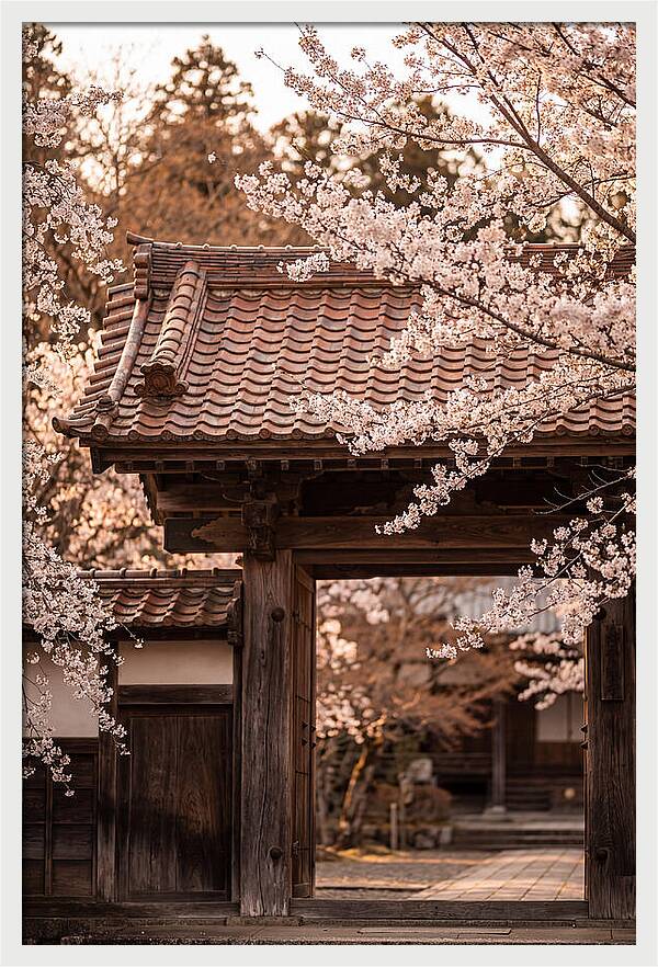 Temple Gate Framed By Blossoms