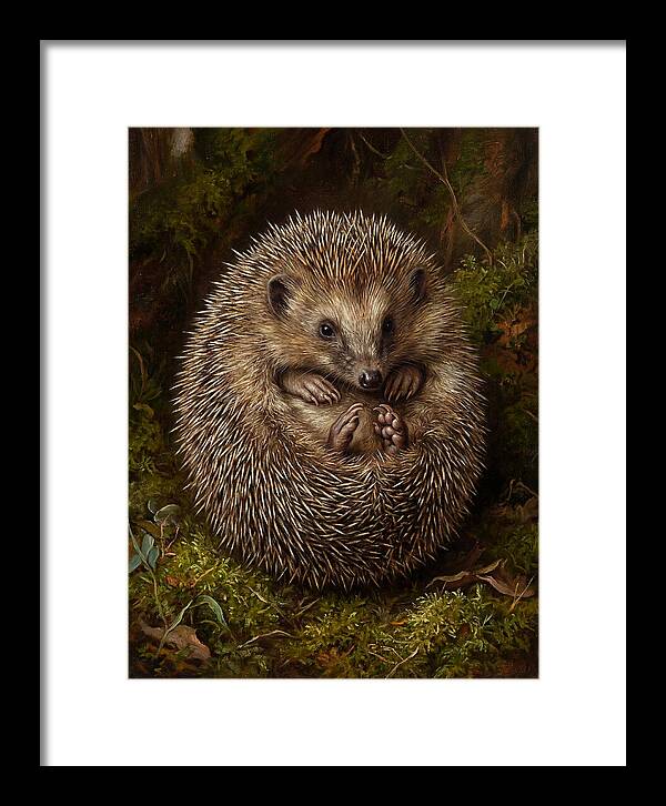 Tenrec In Natural Habitat